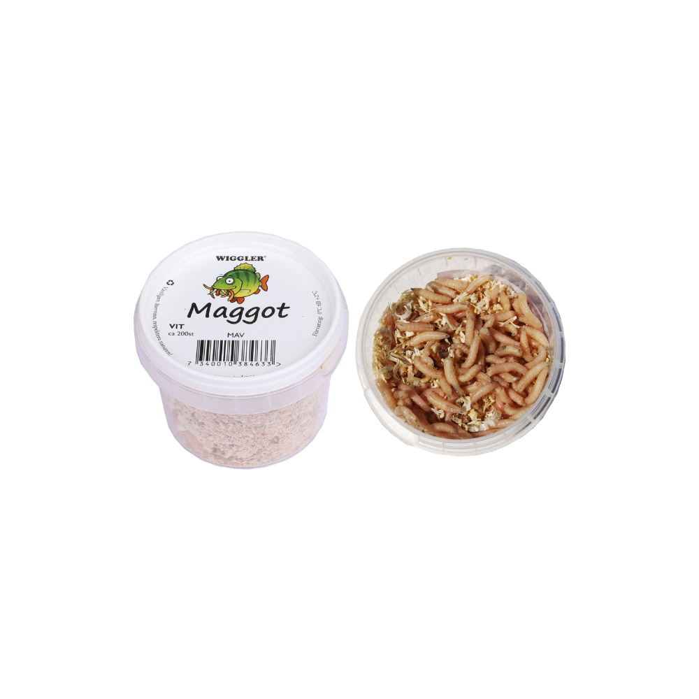 Maggot Vit 250st