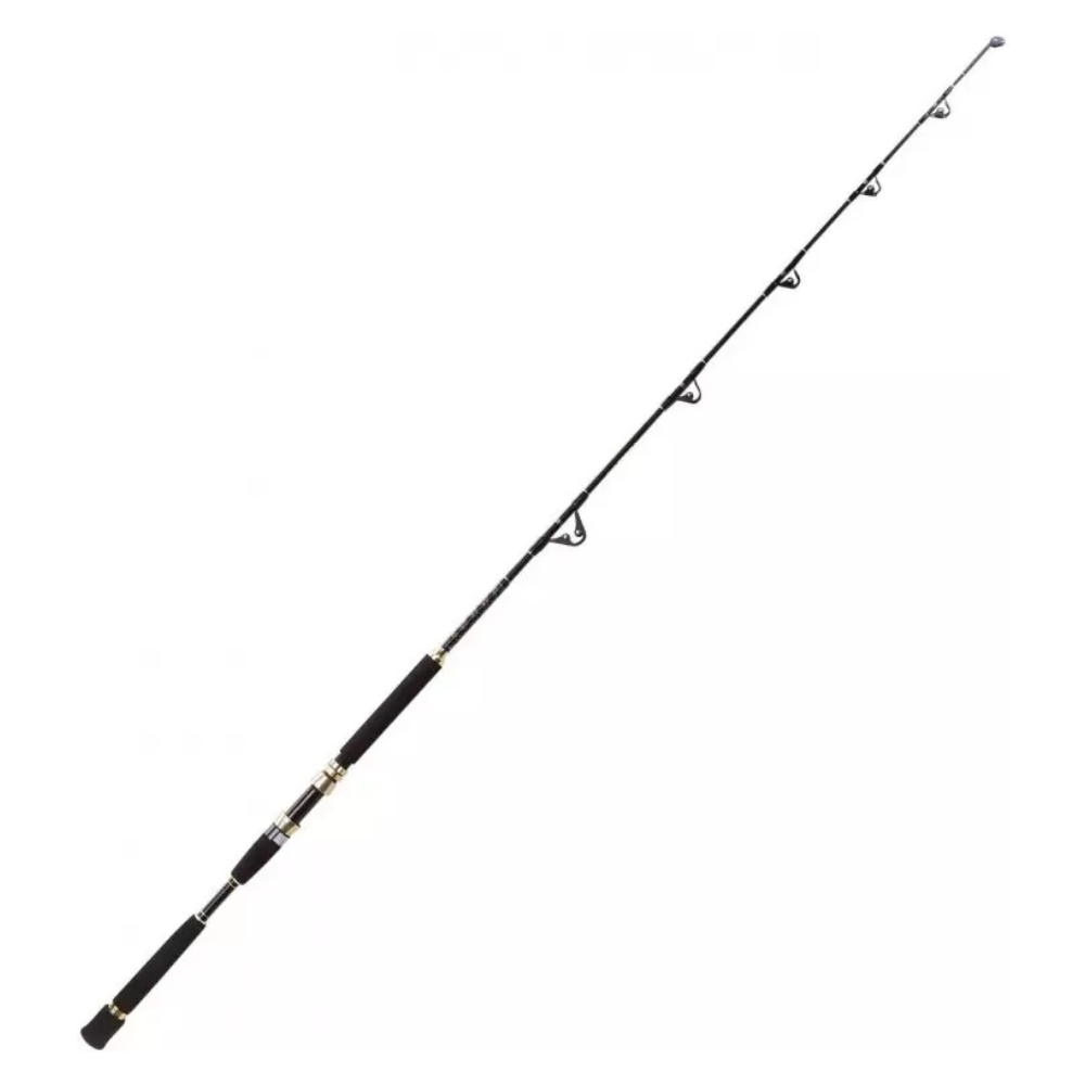 OKUMA Solterra Boat 168cm 30-50LBS