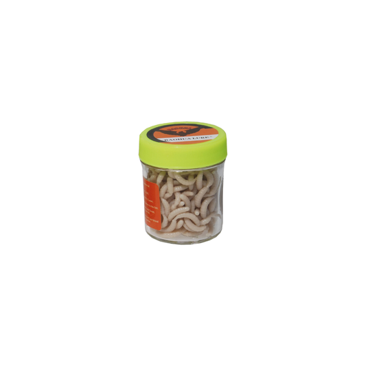 Maggot Natur Konstbete