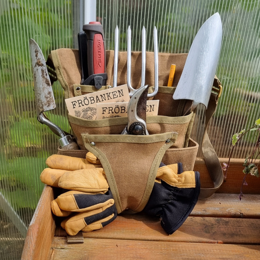 Trädgårdsbälte North Lapland