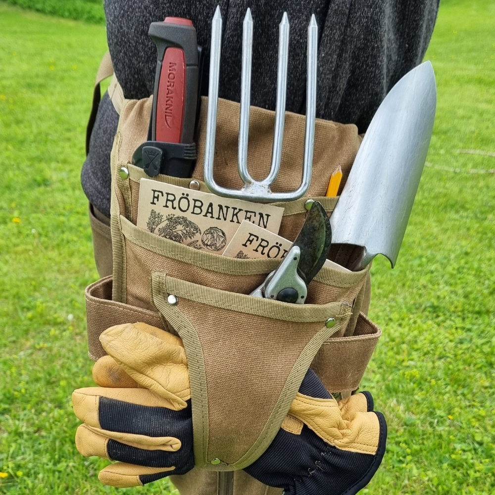 Trädgårdsbälte North Lapland