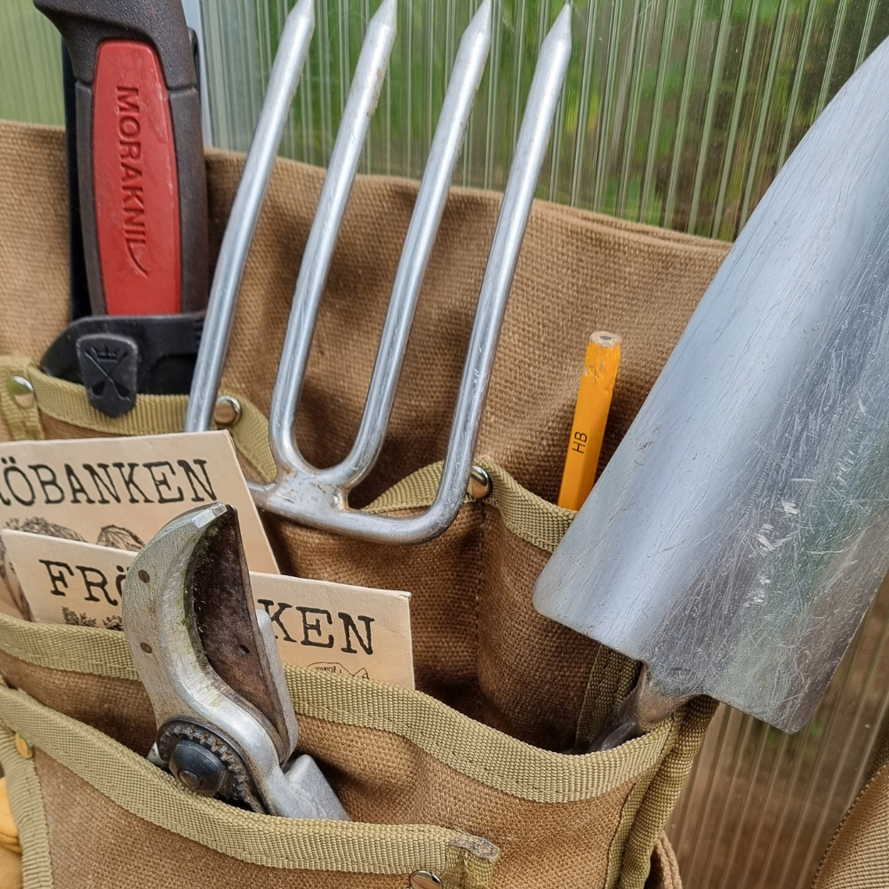 Trädgårdsbälte North Lapland