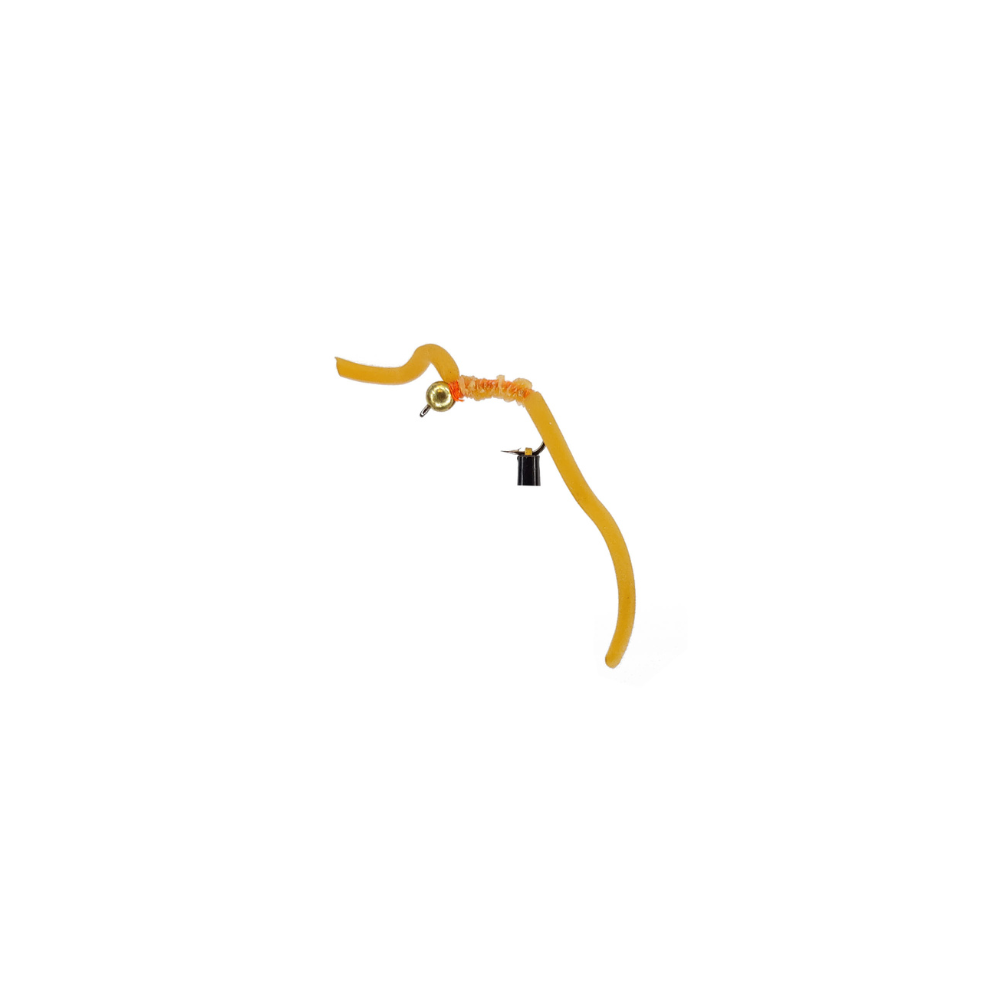 Squirmy Worms